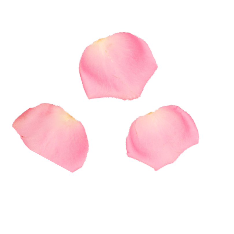 Jeera