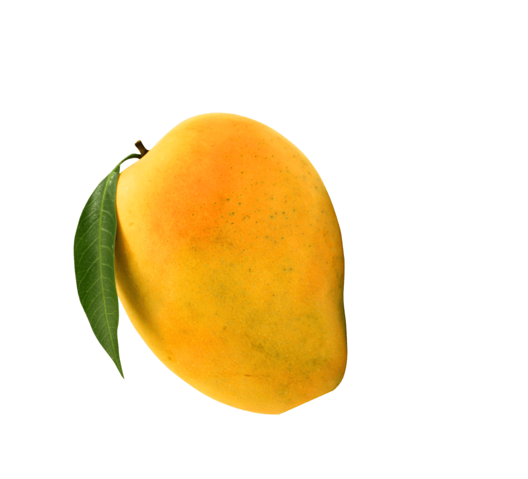 Mango Magic
